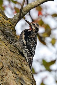 5D3_8830 ps3 fix - Copy.jpg