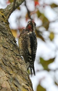 5D3_8837 ps3 fix - Copy.jpg