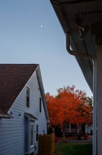 63acbc6a 4a24 a1b6 c6f26ea8c5b3