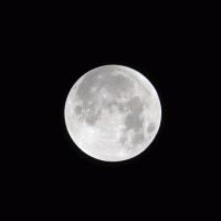 211119 near total lunar eclipse.gif