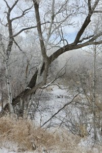 _V2A3549_DxO.jpg