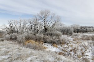 _V2A3542_DxO.jpg