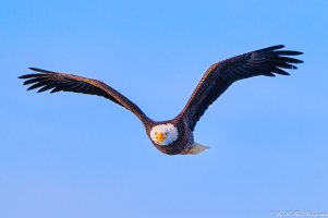 20211120 3322-01.jpg