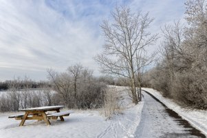 _V2A3520_DxO.jpg