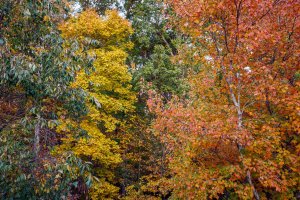 675fd96a dabf 4c00 9c3f 234b78df9163