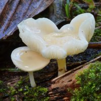 ISS 327 stacked_DxO.jpg