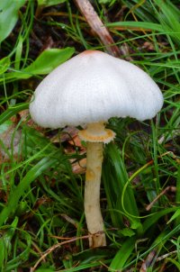 ISS 328 stacked_DxO.jpg