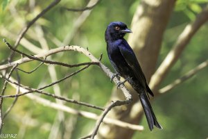 Ethiopia New 2016_2442.jpg