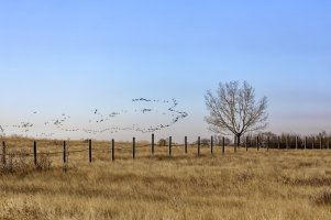 _V2A3450_DxO (1).jpg