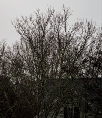 E47b5c41 1b53 062e213c050b