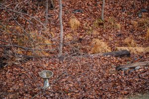 Ba6ca40a a696 4fda b5b8 67a287478ea6