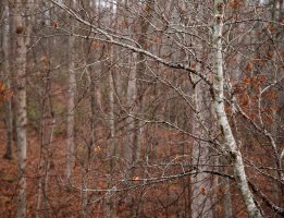 5dec78ee 4db3 a24e 3c76cbf1ec30