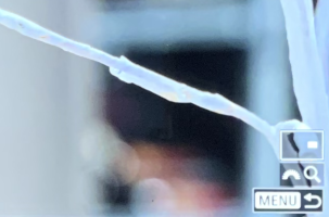 Screen Shot 2022-01-14 at 10.10.38 AM.png