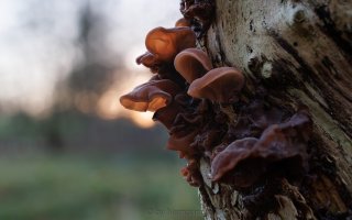 2022-01-07 23-54-29 (C,Smoothing2).jpg