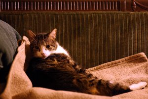 F48ad395 ac85 8a96 6b96c5bffb55