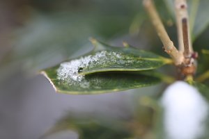 344c1d63 b505 476c a75d 4efd996c0efb