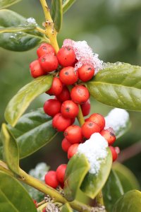 Cf082726 7b9d 43c6 65b0bd689712