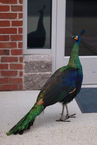 Ae6214d4 2c1e 4c64 bb39 c9a74bb449f0