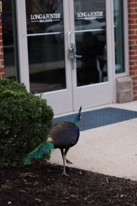 2c9d2fee 45d8 be47 cedf8a89a1a3