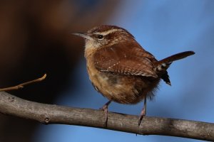 Fc9750d0 a8c6 463e b50a 4b9b4f1f09d2