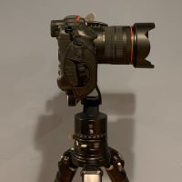 Screen Shot 2022-02-16 at 10.13.48 PM.png