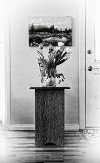 _V2A8598_DxOmono copy.jpg