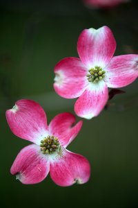 5D3_2134 - Copy downsized.jpg