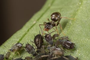 1652333234880.jpeg 1652333234880.jpeg