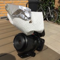 1652333425889.jpeg 1652333425889.jpeg