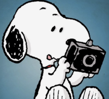 Screen Shot 2022-05-15 at 3.38.56 PM.png