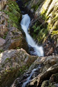 Morgan Falls 01 tLs.jpg Morgan Falls 01 tLs.jpg