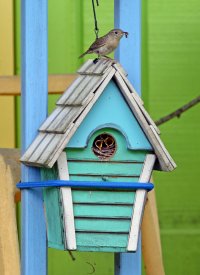 5D3_3991 picasa fix crop 1 ps3 fix 1 - Copy.jpg