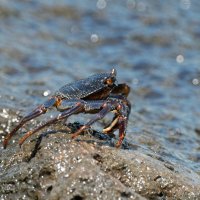 DSC_3912_DxO.jpg