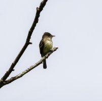 5F9A0161_DxO 5X5.jpg