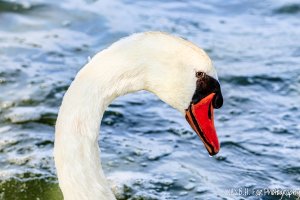 20220721 3561-01.jpg