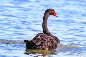 20220721 3833-01.jpg