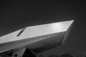 Eye Film Museum Amsterdam copy.jpg