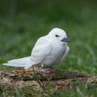 DSC_7235_DxO.jpg DSC_7235_DxO.jpg