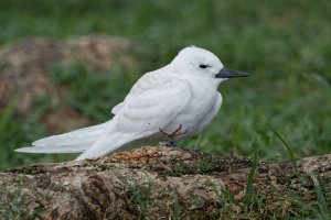 DSC_7263_DxO.jpg DSC_7263_DxO.jpg