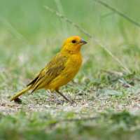 DSC_7288_DxO.jpg DSC_7288_DxO.jpg