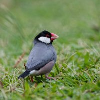 DSC_7322_DxO.jpg DSC_7322_DxO.jpg