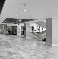 IMG_0187_Nik copy.jpg