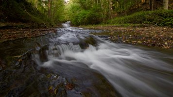 IMG_9604 (1) copy.jpg