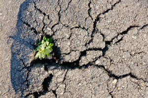 _DSF9447 copy-topaz-denoise.jpg