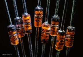 diodes_58.jpg