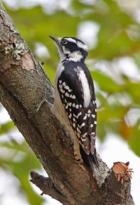 5D3_0778 ps3 fix 1 - Copy.JPG