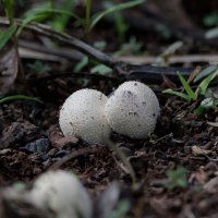 DSC_9640_DxO.jpg DSC_9640_DxO.jpg