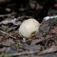 DSC_9670_DxO.jpg DSC_9670_DxO.jpg