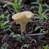 DSC_9645_DxO.jpg DSC_9645_DxO.jpg