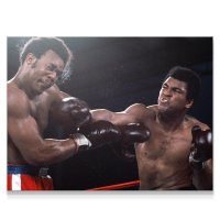 muhammad-ali-knockout-ikonick-1_1512x.jpg